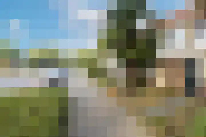 Het Struweel 11 Veldhoven thumbnail 33