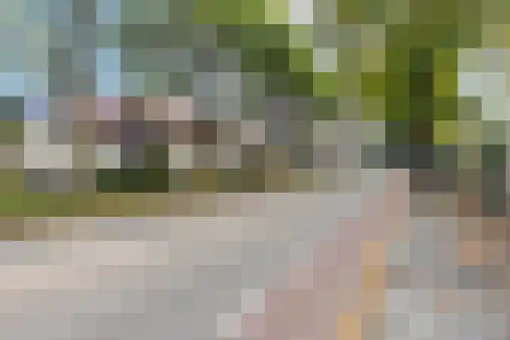 Het Struweel 11 Veldhoven thumbnail 35