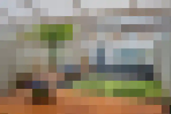 Het Struweel 48 Veldhoven thumbnail 32