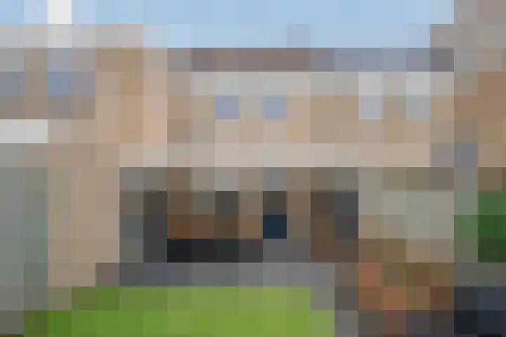 Het Struweel 48 Veldhoven thumbnail 34