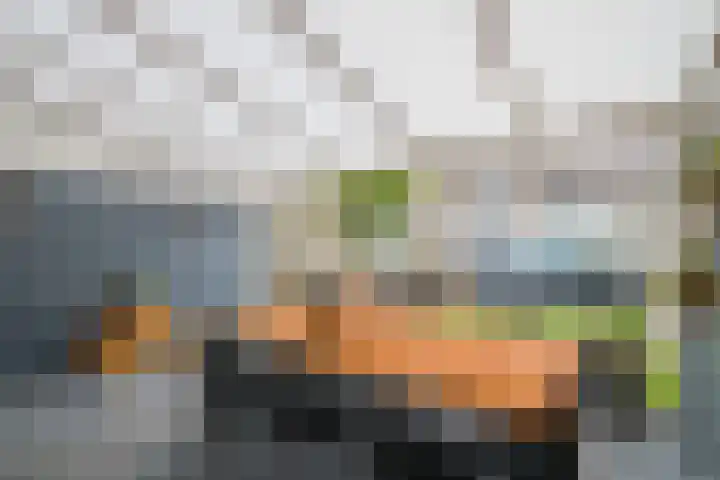 Het Struweel 48 Veldhoven thumbnail 35