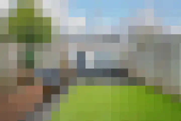 Het Struweel 48 Veldhoven thumbnail 4
