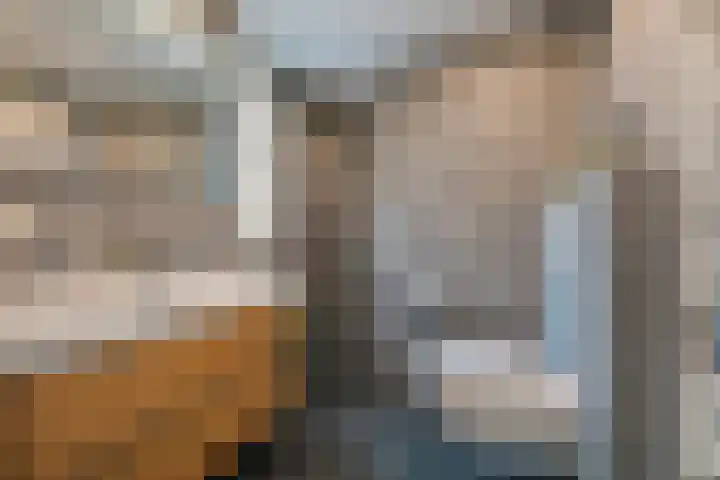 Het Struweel 48 Veldhoven thumbnail 47