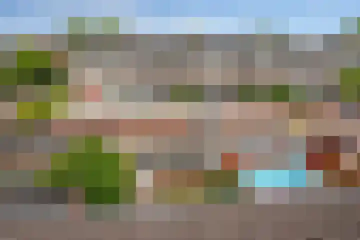 Het Tolland 96 Wateringen thumbnail 29
