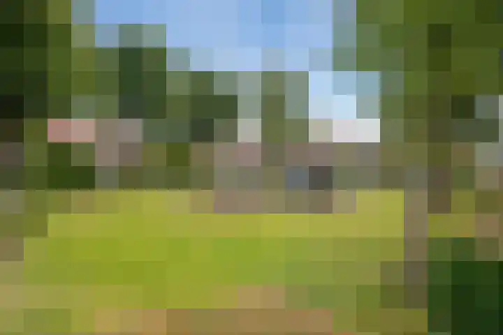 Het Tolland 96 Wateringen thumbnail 30