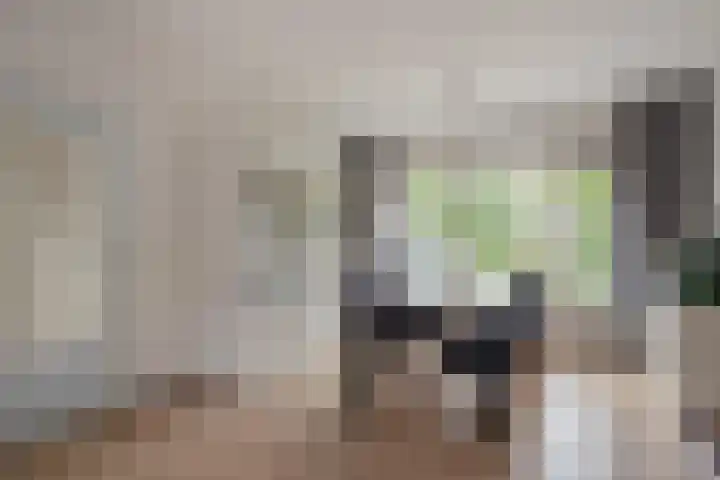 Het Tolland 96 Wateringen thumbnail 9