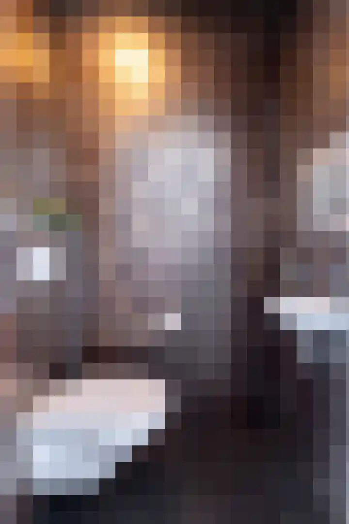 het Vallaat 29 Sneek thumbnail 14