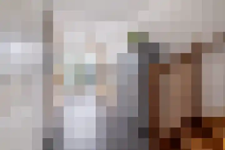 het Vallaat 29 Sneek thumbnail 15
