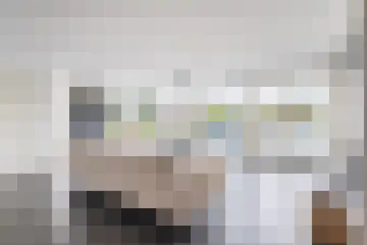 het Vallaat 29 Sneek thumbnail 17