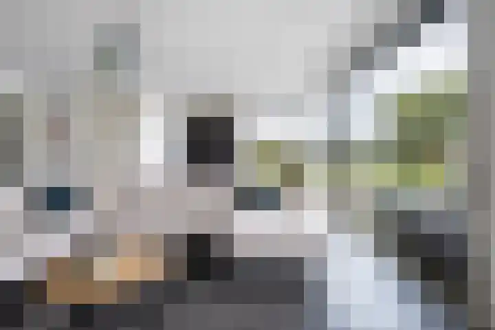 het Vallaat 29 Sneek thumbnail 18