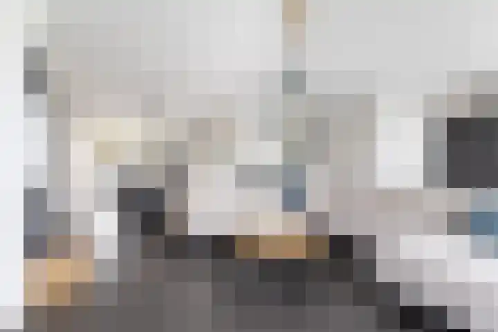 het Vallaat 29 Sneek thumbnail 19
