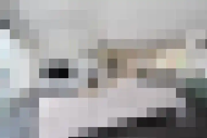 het Vallaat 29 Sneek thumbnail 20