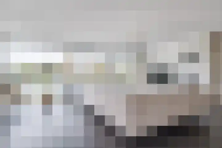 het Vallaat 29 Sneek thumbnail 22