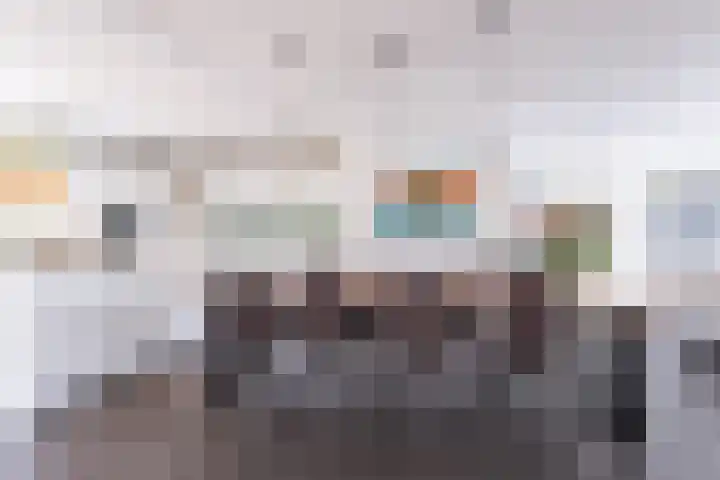het Vallaat 29 Sneek thumbnail 23
