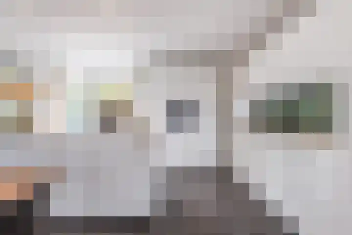 het Vallaat 29 Sneek thumbnail 26