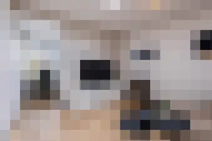 het Vallaat 29 Sneek thumbnail 34