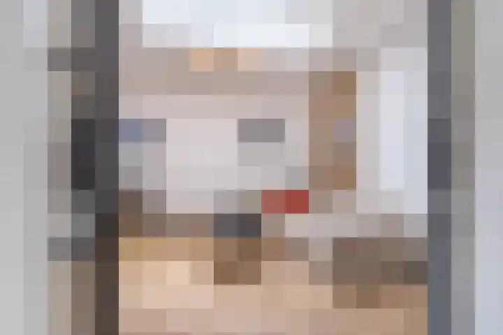 het Vallaat 29 Sneek thumbnail 35