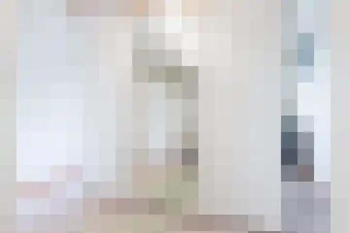 het Vallaat 29 Sneek thumbnail 43