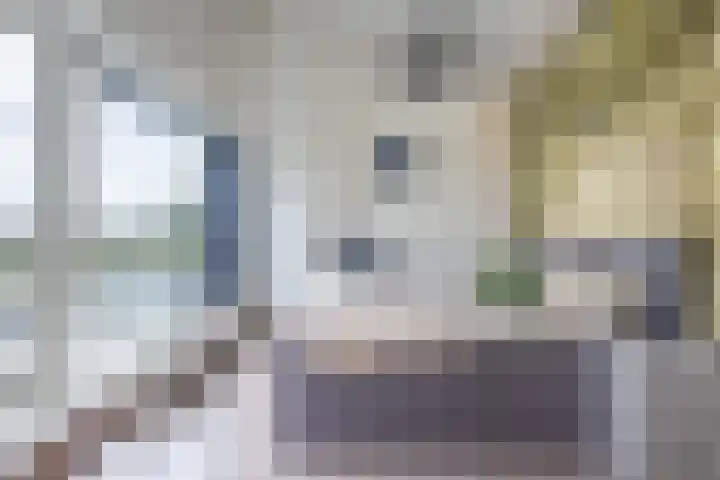 het Vallaat 29 Sneek thumbnail 47
