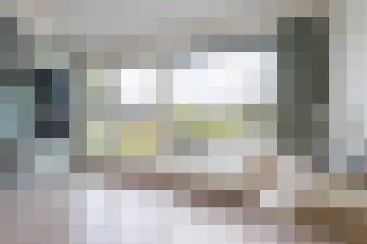het Vallaat 29 Sneek thumbnail 48