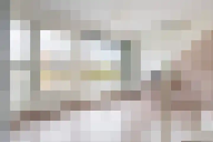 het Vallaat 29 Sneek thumbnail 49