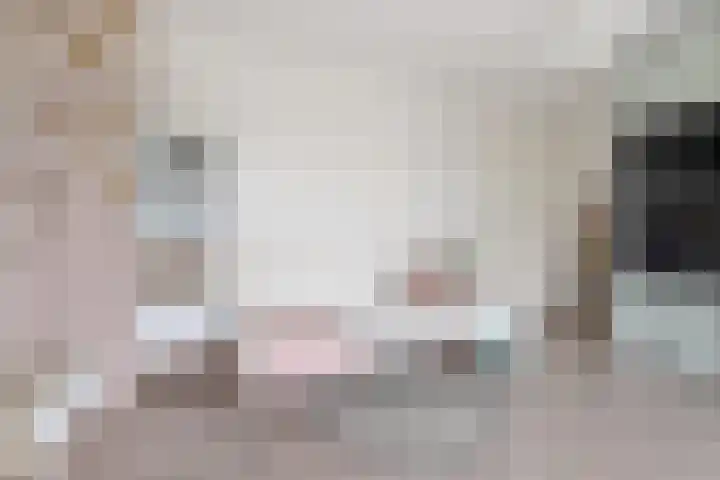 het Vallaat 29 Sneek thumbnail 50