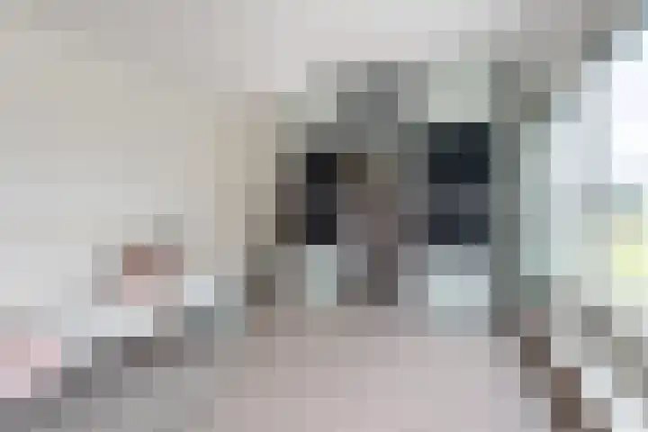 het Vallaat 29 Sneek thumbnail 51
