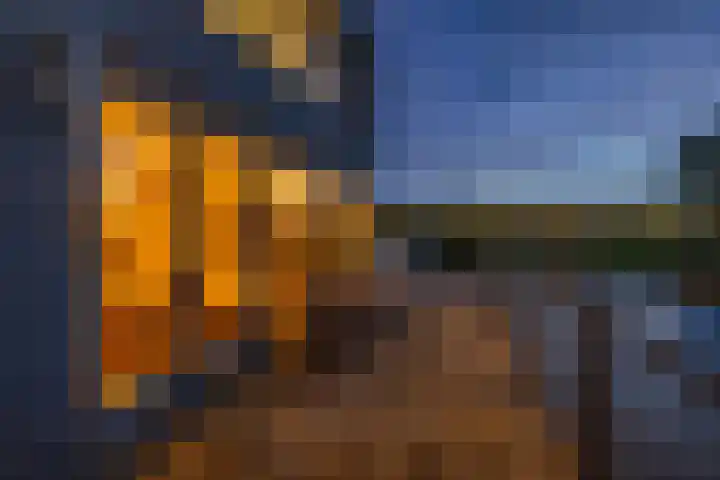 het Vallaat 29 Sneek thumbnail 65