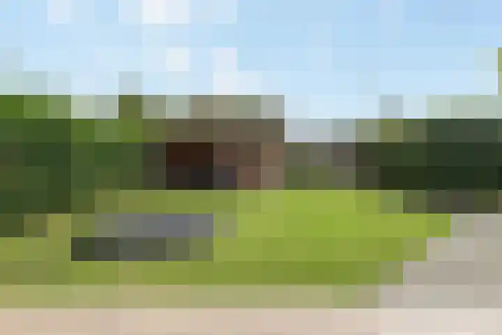 het Vallaat 29 Sneek thumbnail 68