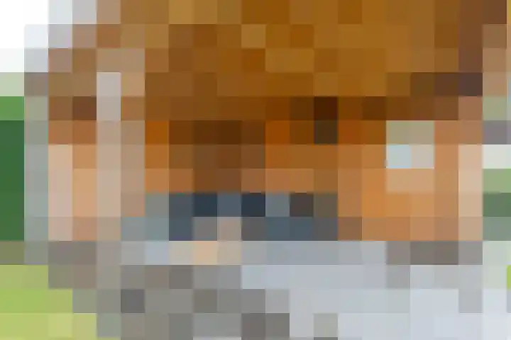 het Vallaat 29 Sneek thumbnail 72