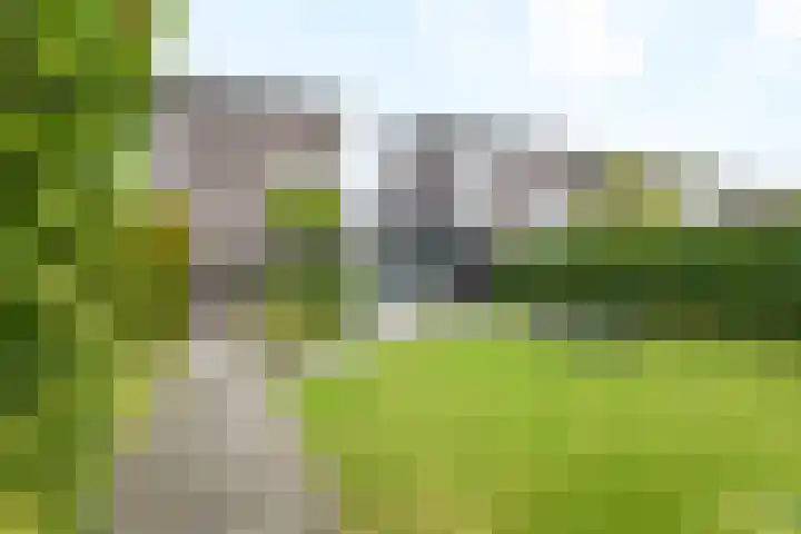 het Vallaat 29 Sneek thumbnail 77