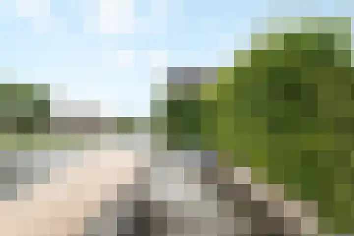 het Vallaat 29 Sneek thumbnail 79