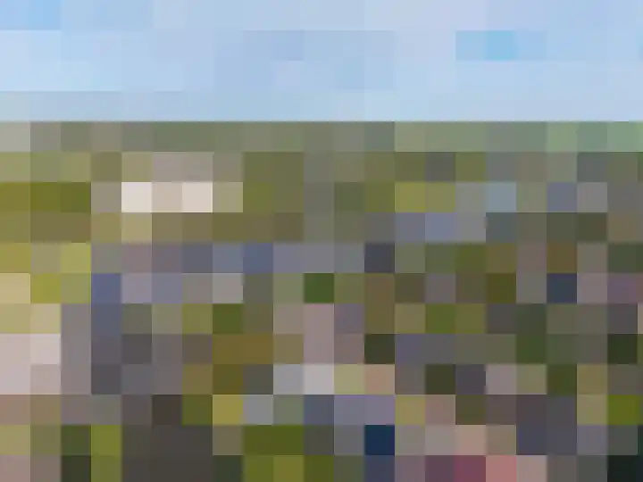 het Vallaat 29 Sneek thumbnail 80
