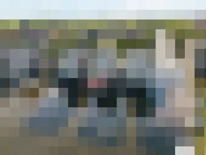 het Vallaat 29 Sneek thumbnail 88