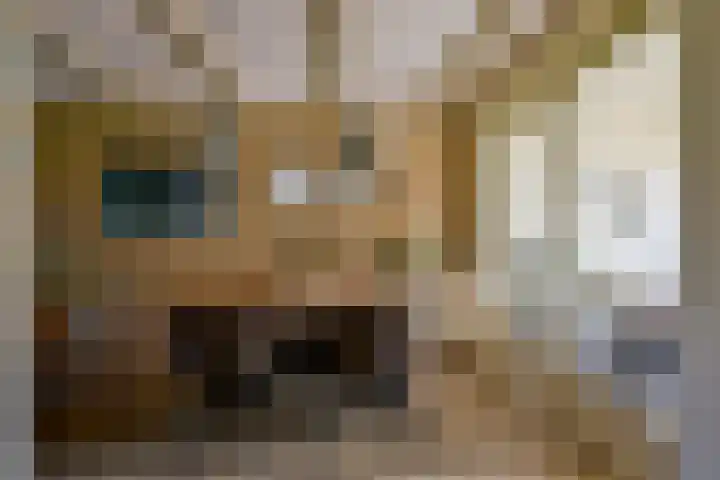 Het Veer 121 Avenhorn thumbnail 11