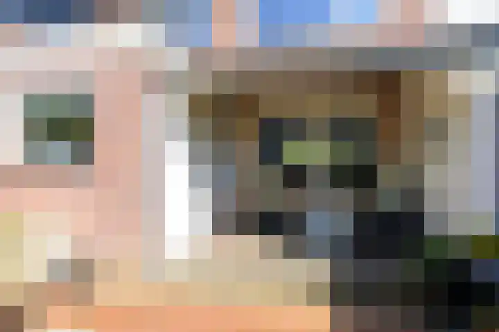 Het Veer 121 Avenhorn thumbnail 12