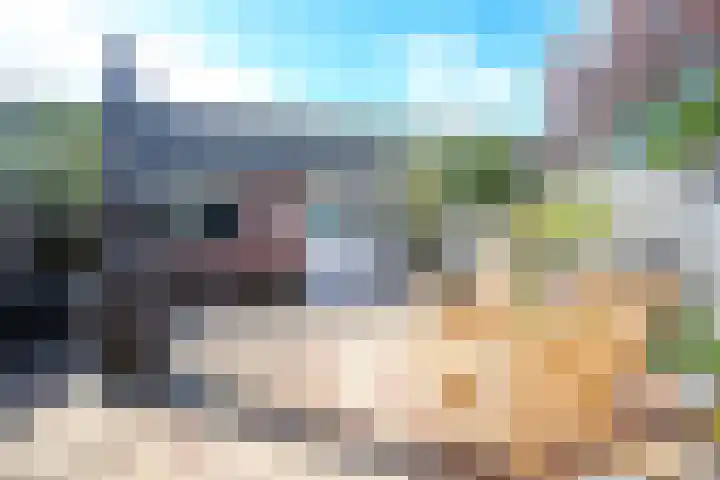 Het Veer 121 Avenhorn thumbnail 22