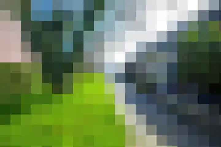 Het Veer 121 Avenhorn thumbnail 26