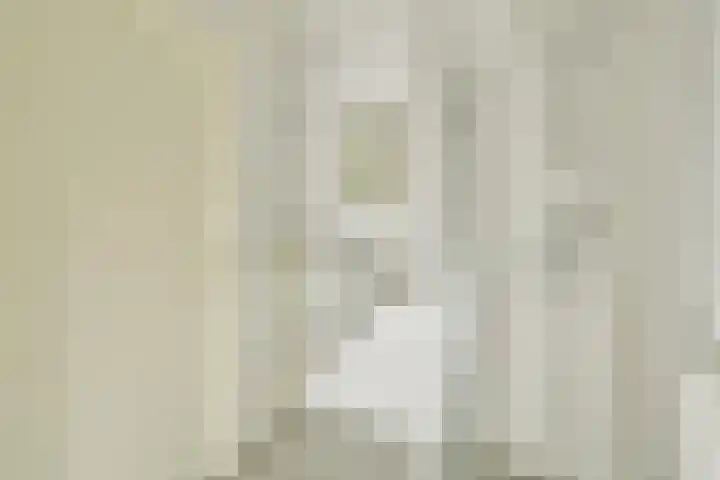 Het Veer 121 Avenhorn thumbnail 29