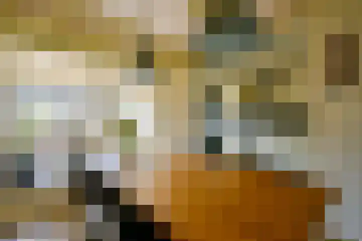 Het Veer 121 Avenhorn thumbnail 7