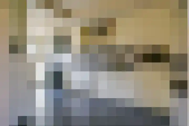 Het Veer 121 Avenhorn thumbnail 8