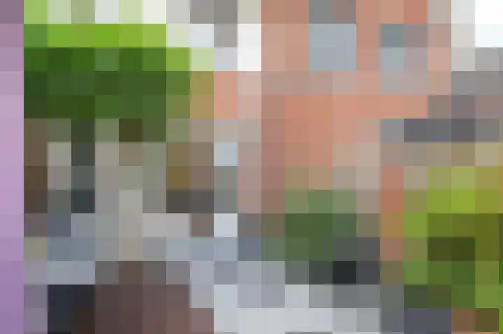 Het Veer 16 Tuil thumbnail 12