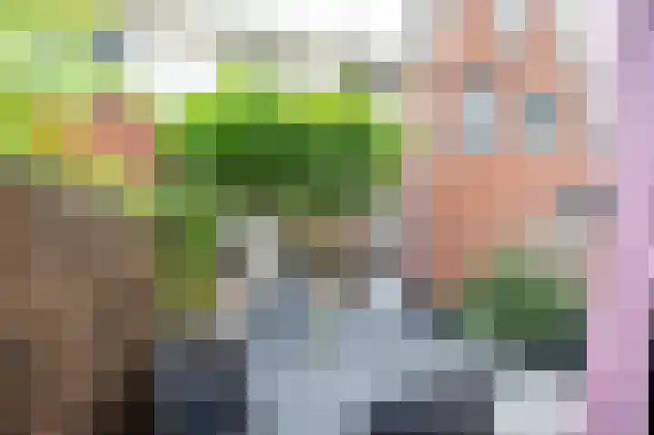 Het Veer 16 Tuil thumbnail 13