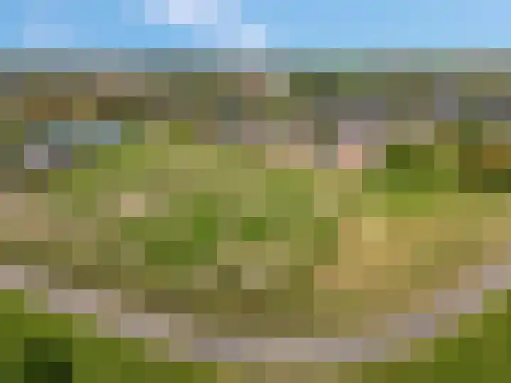 Het Veer 16 Tuil thumbnail 14