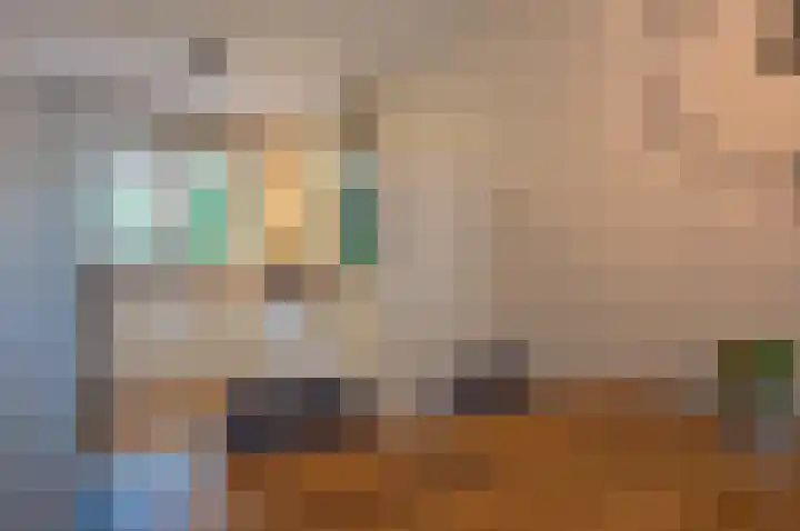 Het Veer 16 Tuil thumbnail 24