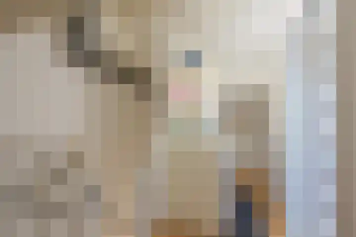 Het Veer 16 Tuil thumbnail 39