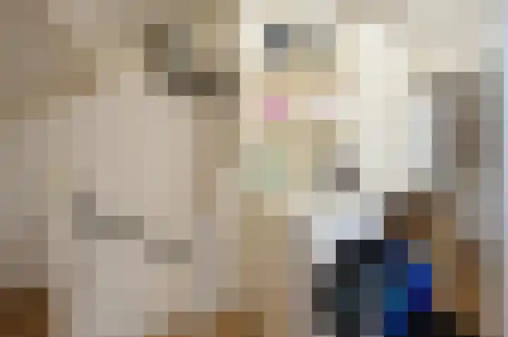 Het Veer 16 Tuil thumbnail 40