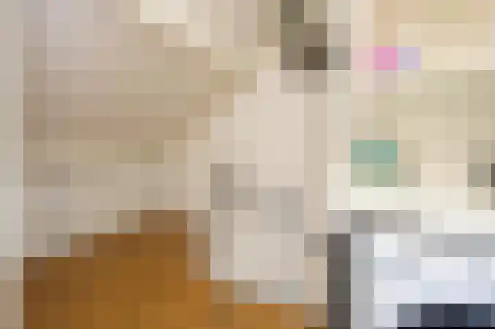 Het Veer 16 Tuil thumbnail 41