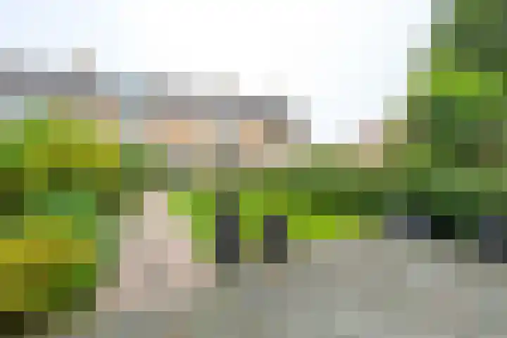 Het Veer 21 Avenhorn thumbnail 21