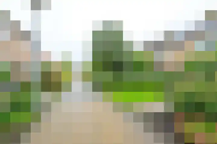 Het Veer 21 Avenhorn thumbnail 22